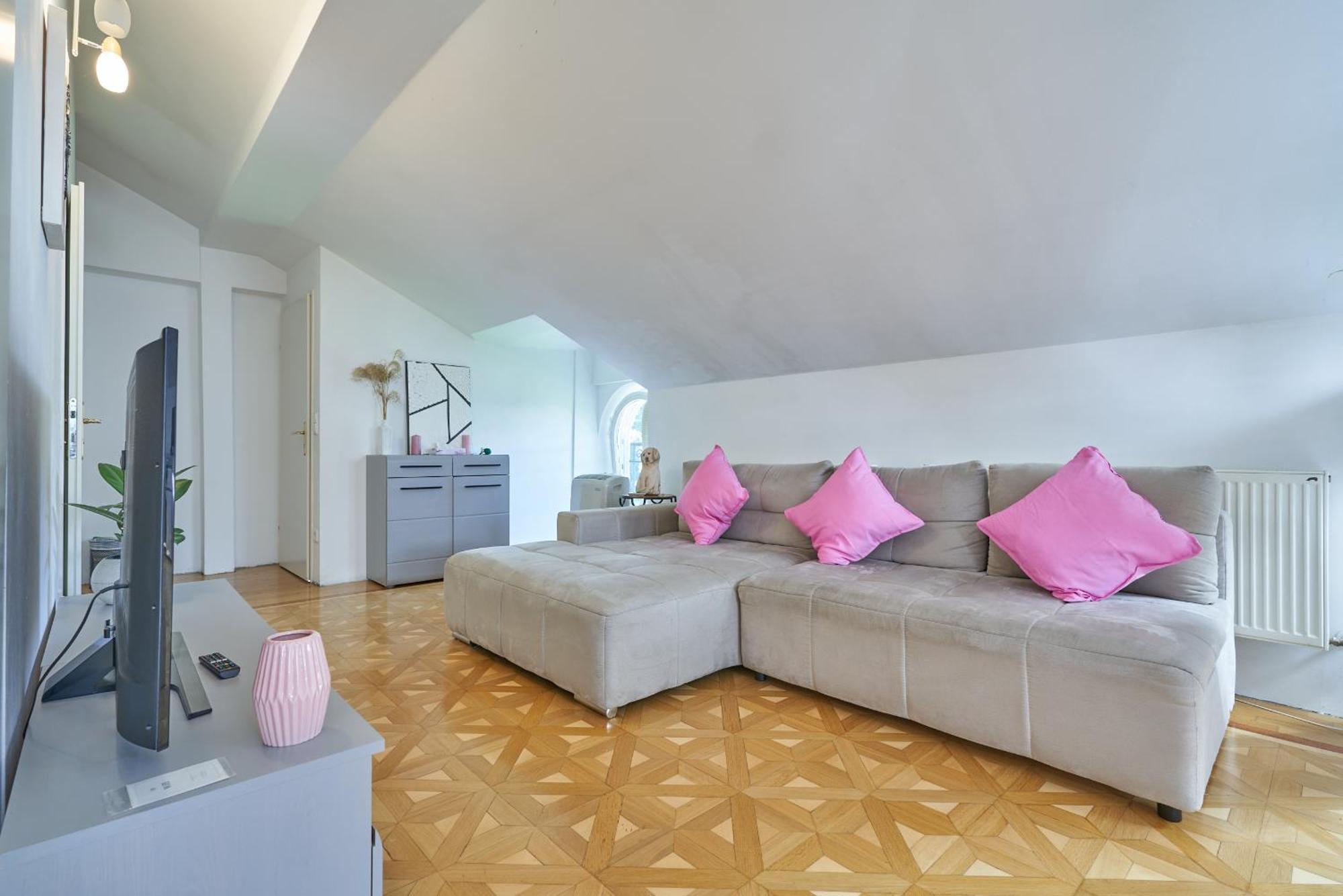Big Apartment In Guesthouse بادن المظهر الخارجي الصورة